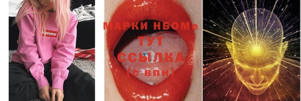 индика Армянск
