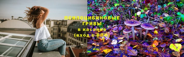 эйфоретик Аркадак
