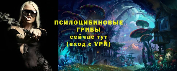 скорость Алексеевка
