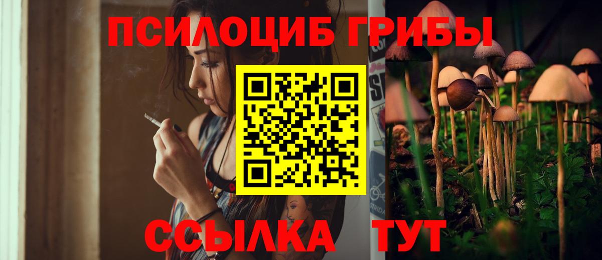Псилоцибиновые грибы мицелий  Вход с VPN  Дедовск 