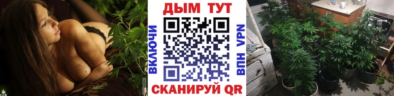 Марихуана индика  Дедовск 